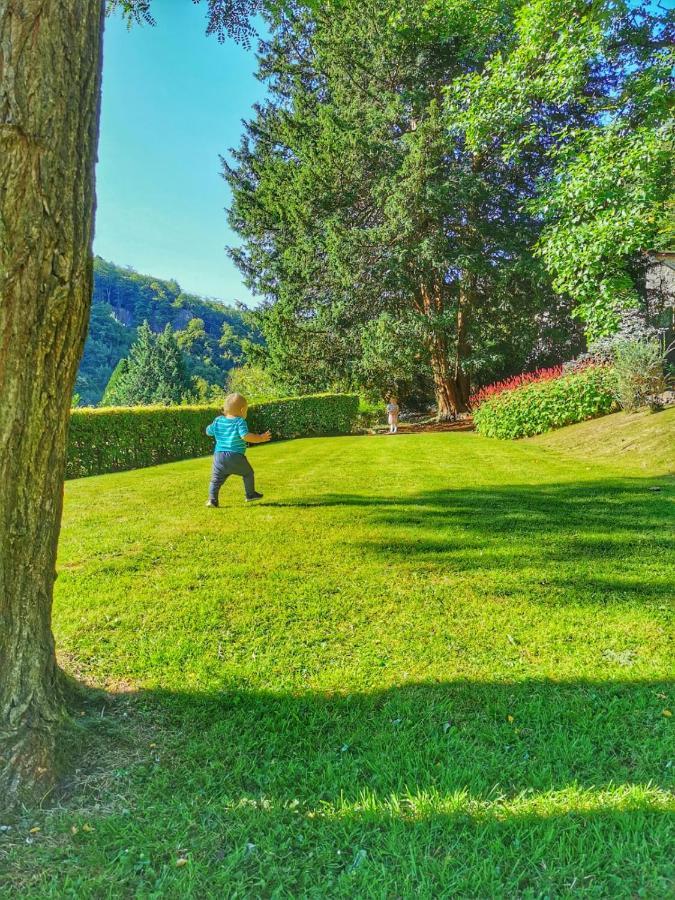 Stunning Symonds Yat Holiday Cottage ภายนอก รูปภาพ